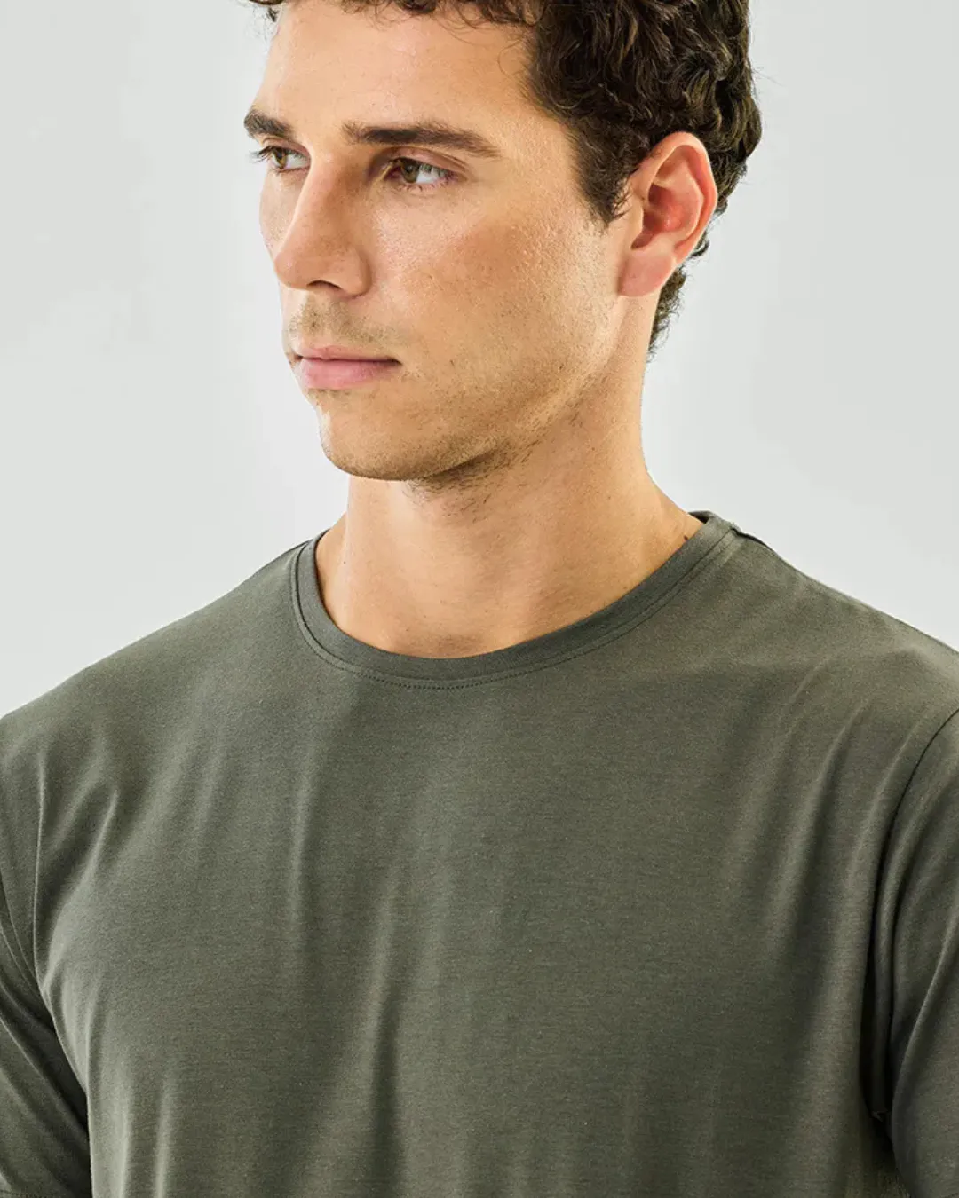 Olive Drab Crew Neck T Shirt Stwd Regular Fit
